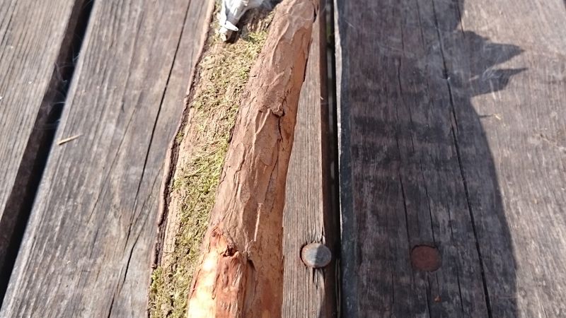 mein-lebensjahr-teil-iii-1