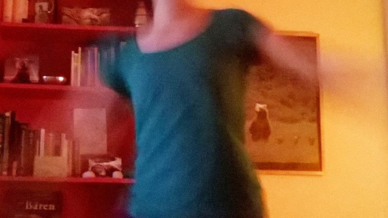 mein-lebensjahr-teil-vii-5